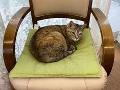 麗翠堂多機能型ケアホーム(有限会社ワイオハ)のアルバイト・バイト求人情報-04