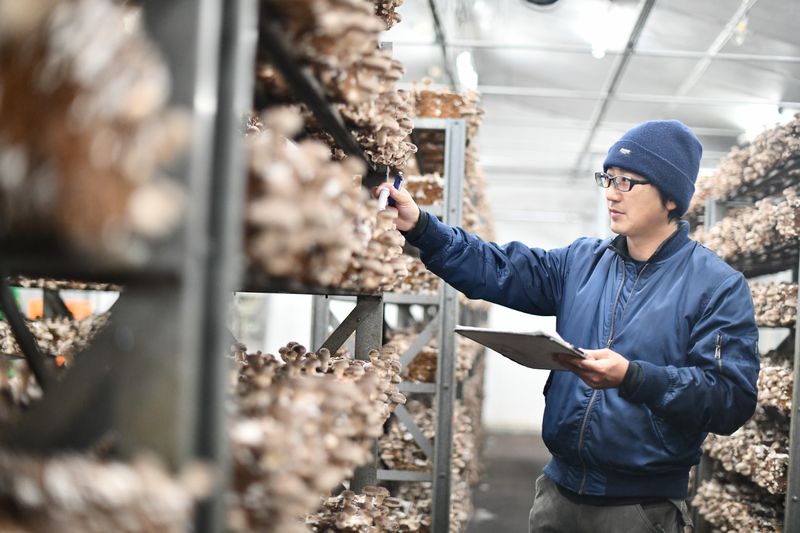 株式会社上野村きのこセンター
