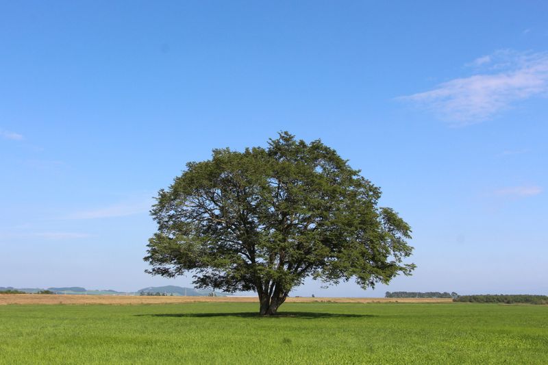 こどもプラザとよころのアルバイト・バイト求人情報-02