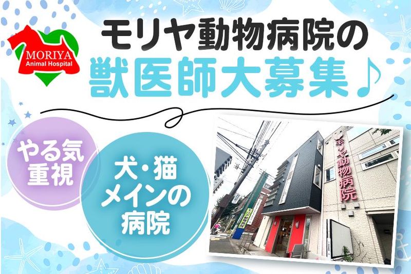 モリヤ動物病院の求人・転職情報