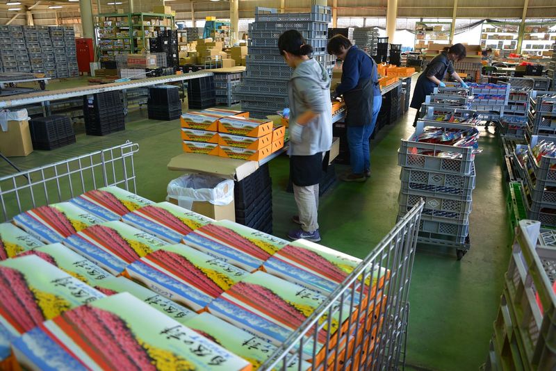 富山県花卉球根農業協同組合