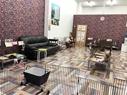ぱぴぷぺっと大阪店のアルバイト・バイト求人情報-02