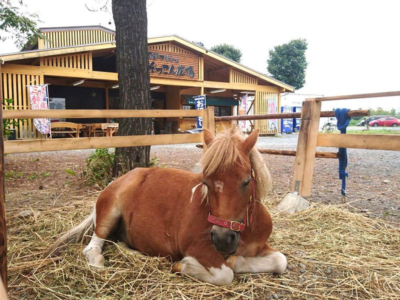 南部マルシェ ぞっこん広場本店