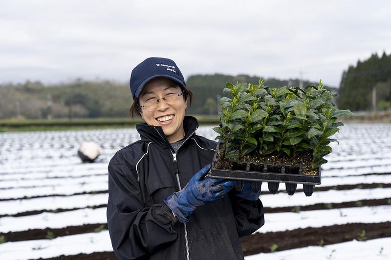 鹿児島堀口製茶有限会社-0004の求人・転職情報