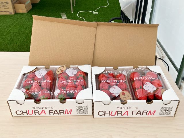 株式会社サン・グレイスのアルバイト・バイト求人情報-02