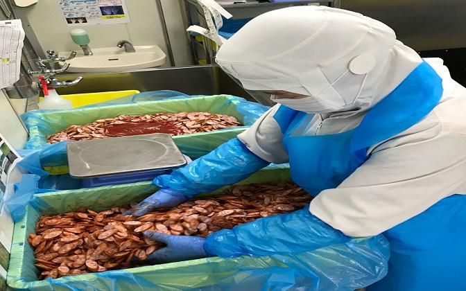 株式会社NPG前野フーズの求人情報