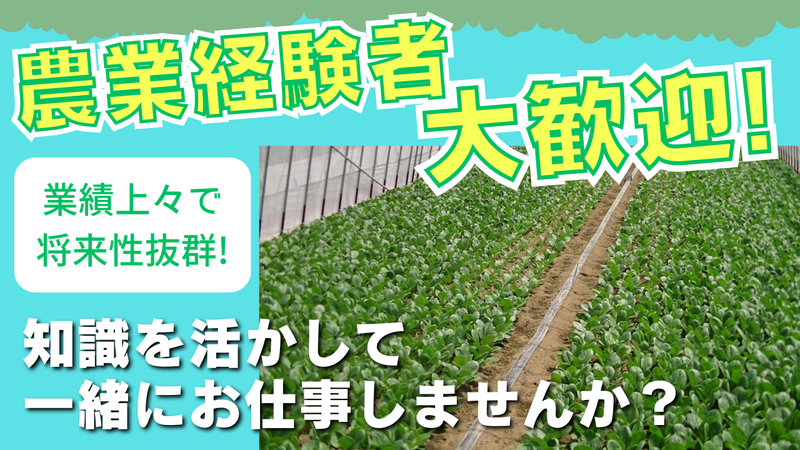 株式会社シマムラ工業の求人・転職情報