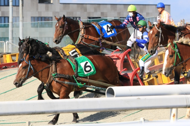 一般社団法人ばんえい十勝のアルバイト・バイト求人情報-02