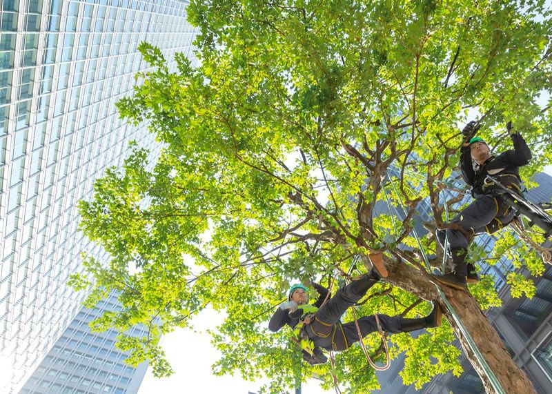 吉村造園株式会社