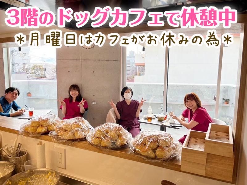 富士見台どうぶつ病院のアルバイト・バイト求人情報-02