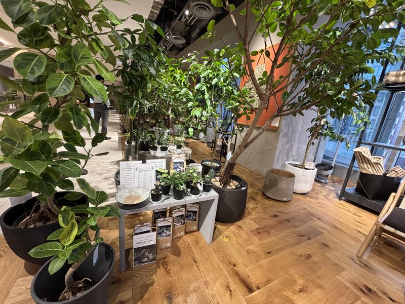 麻布台ヒルズ　THE CONRAN SHOP 東京店内のアルバイト・バイト求人情報-04