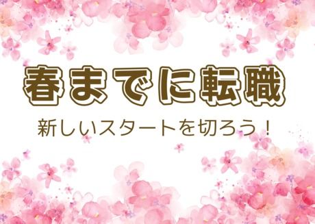 株式会社ヒューマンアイズの求人・転職情報