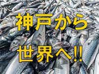 株式会社エスビートレード　営業所のアルバイト・バイト求人情報-04