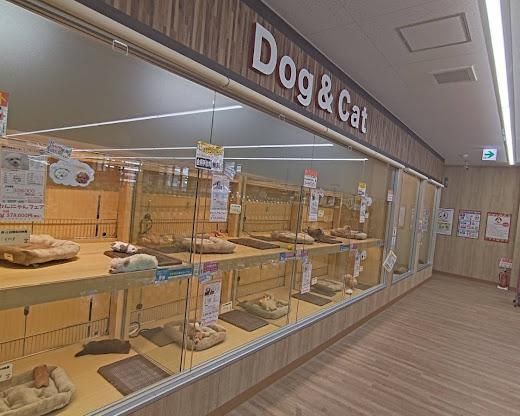 ペットプラザ川越的場店のアルバイト・バイト求人情報-04