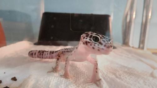 ワンラブ ホームワイドプラス都城店のアルバイト・バイト求人情報-02