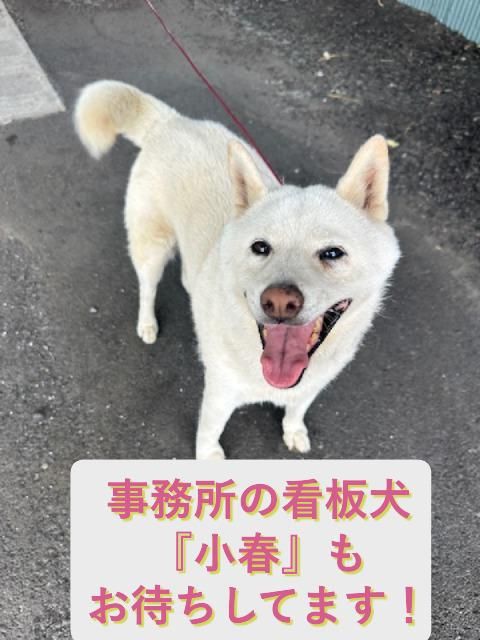 株式会社マルキ産業　宇都宮事業所のアルバイト・バイト求人情報-03