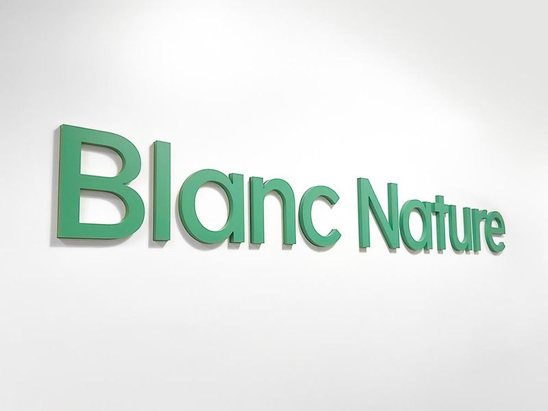 株式会社Ｂｌａｎｃ　Ｊａｐａｎの求人・転職情報