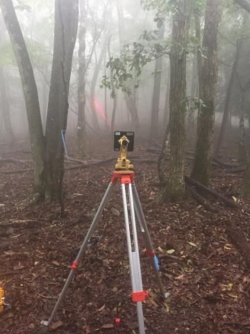 株式会社グラフィックの求人・転職情報