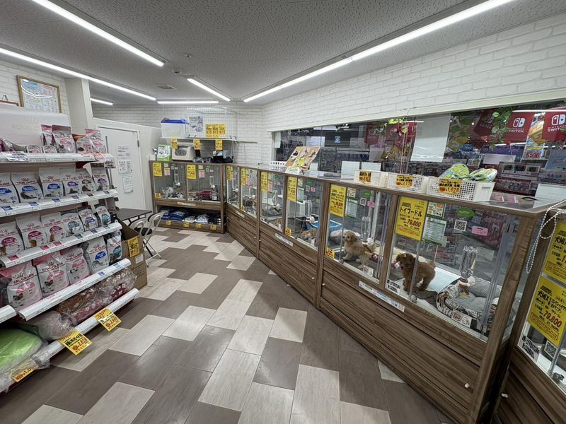 アクア&ペットかねだい四街道店のアルバイト・バイト求人情報-02