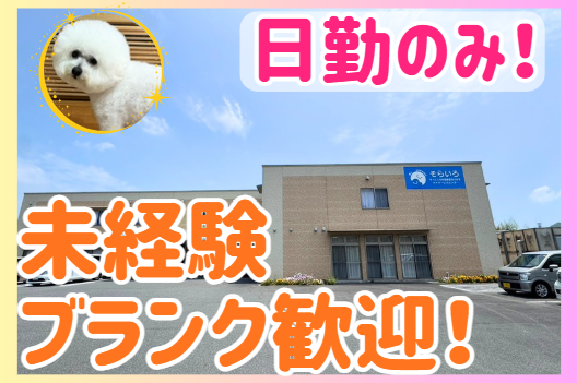 ソエル株式会社　デイサービスセンターそらいろの求人・転職情報