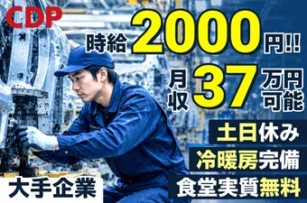 シーデーピージャパン株式会社のアルバイト・バイト求人情報