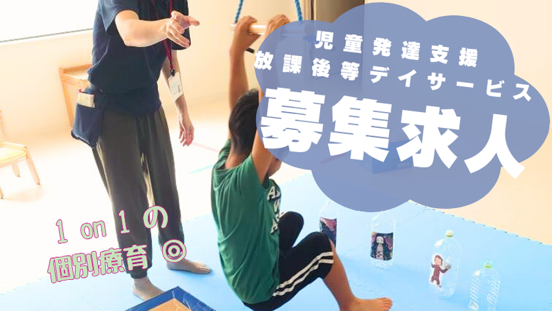 株式会社キッズランド-0009の求人・転職情報