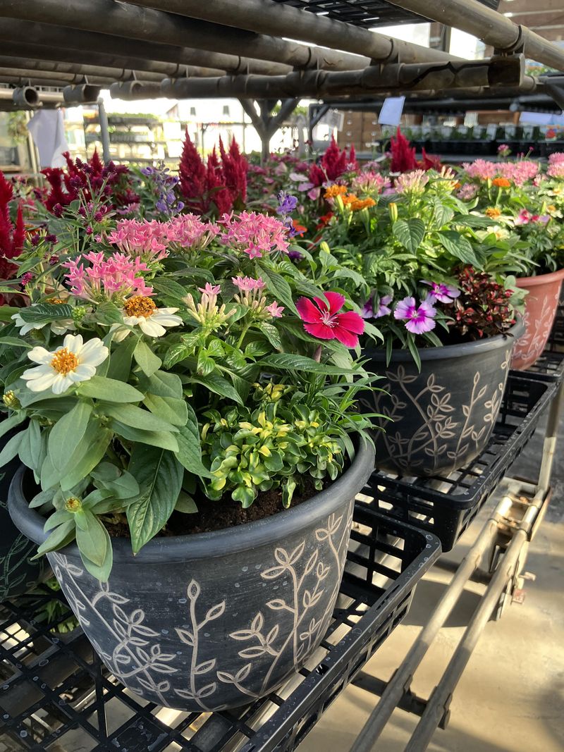 有限会社角田ナーセリー(祖父江松山)のアルバイト・バイト求人情報-03