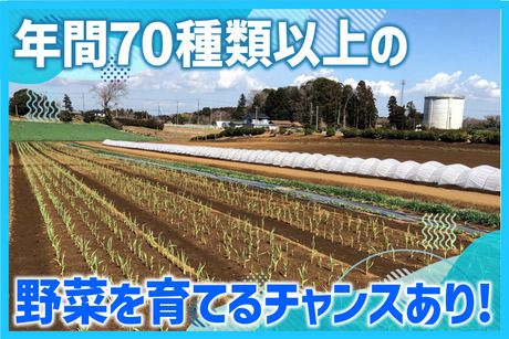 公協産業株式会社　千葉営業所のアルバイト・バイト求人情報-02