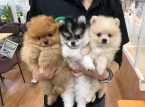 株式会社ＯＮＥＣＡＲＡＴ-0003の求人・転職情報