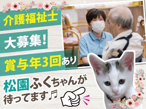 有限会社メルシー-0002の求人・転職情報