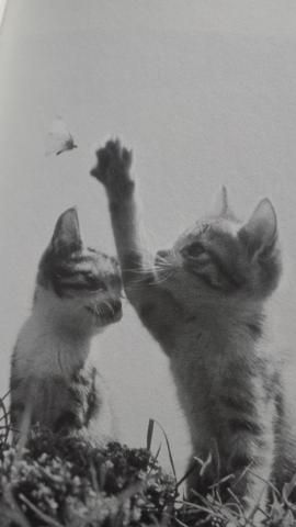 協和警備保障株式会社の求人・転職情報