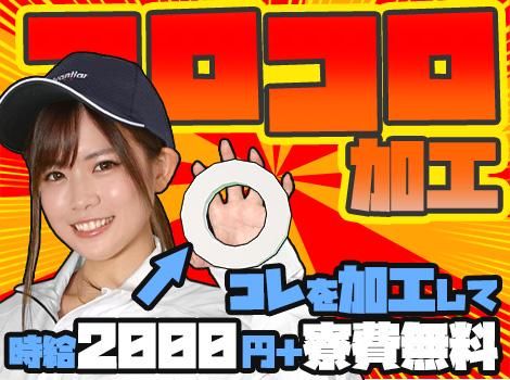 株式会社アドバンティア　半田