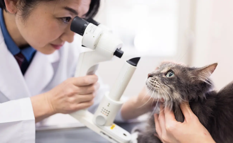 海浜動物医療センターのアルバイト・バイト求人情報-07