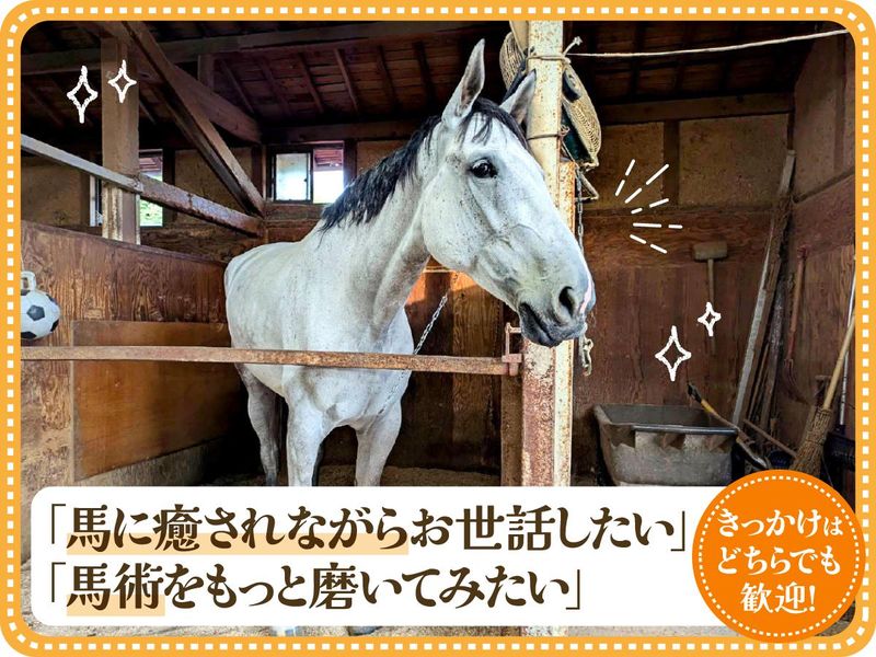 Dream Farmの求人・転職情報