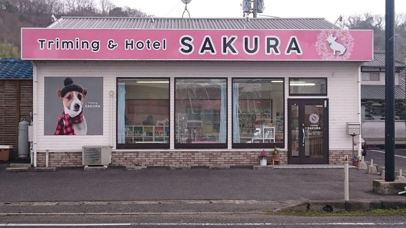 SAKURAの求人・転職情報