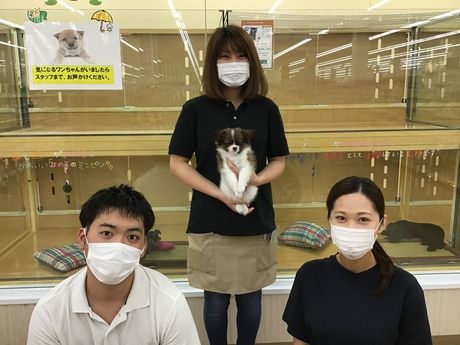 有限会社キムラの求人・転職情報