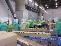株式会社チクブパッケージシステム　野田事業所のアルバイト・バイト求人情報-01