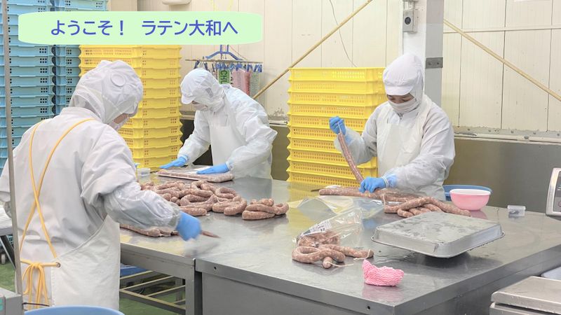 株式会社ラテン大和の求人・転職情報