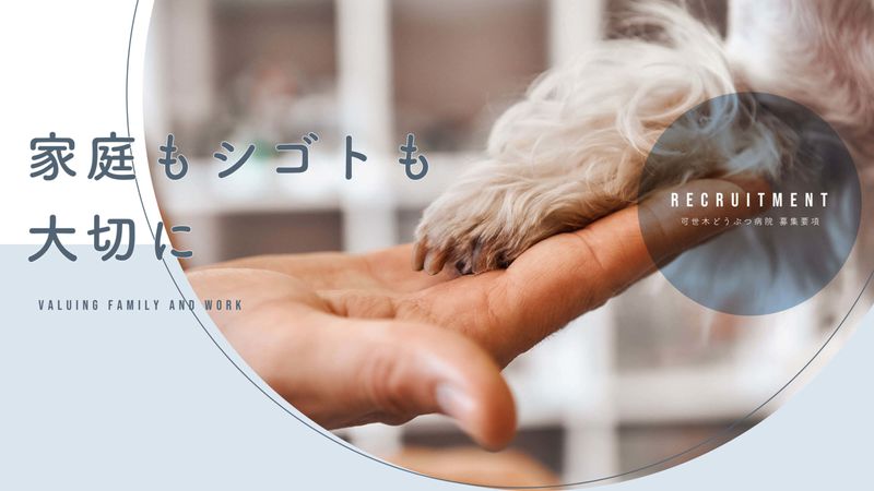 可世木どうぶつ病院株式会社の求人・転職情報