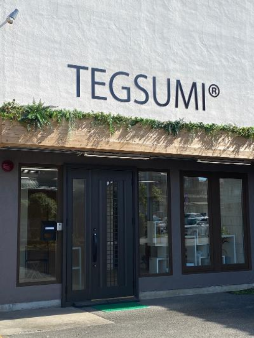 ＴＥＧＳＵＭＩ株式会社の求人・転職情報