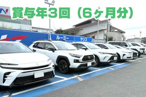 ネッツトヨタ熊本株式会社(ja_jp)-0002の求人・転職情報