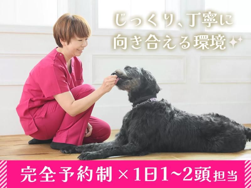 株式会社PET LIFEの求人・転職情報