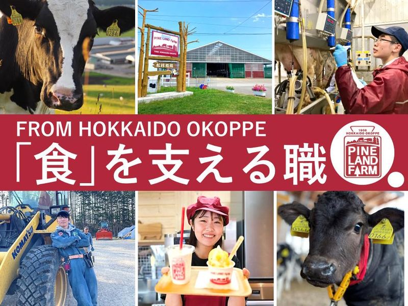 28卒向け)北海道のギガファームで酪農畜産&食品加工体験