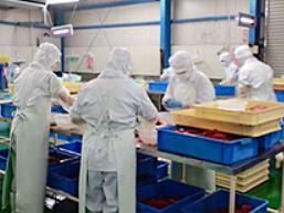 株式会社宮近の求人・転職情報