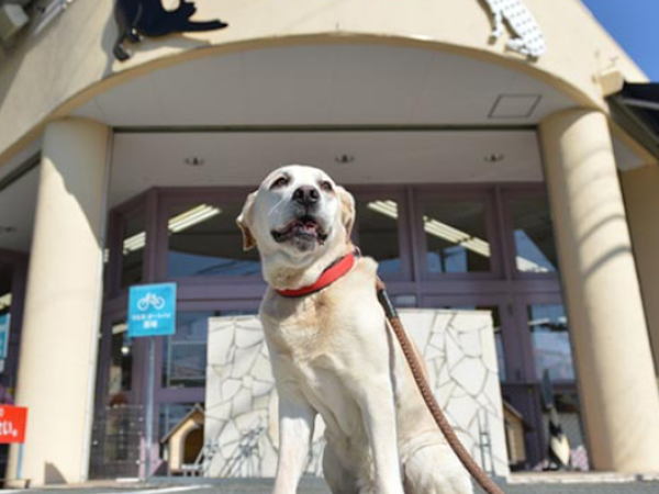 株式会社トムキャットの求人・転職情報