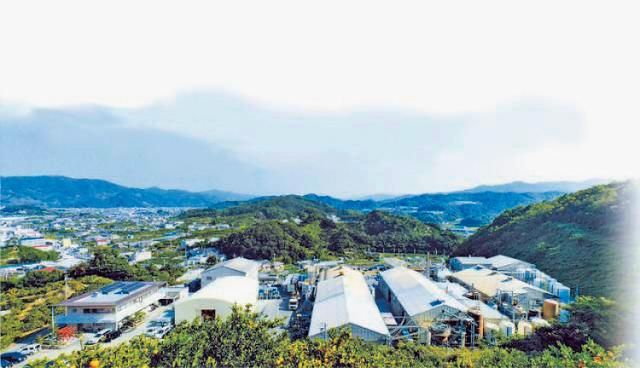 阪和工業株式会社の求人・転職情報