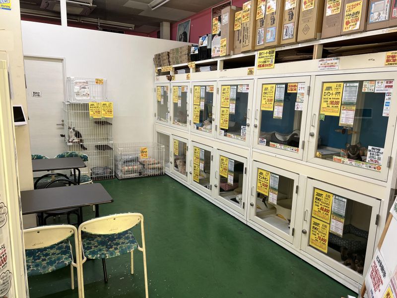 有限会社かねだい青梅のアルバイト・バイト求人情報-02