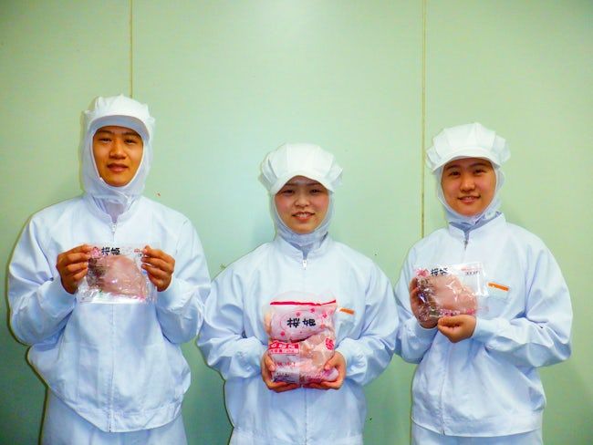 日本ホワイトファーム株式会社の求人・転職情報