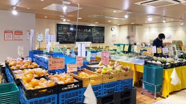 大一青果 株式会社の求人・転職情報