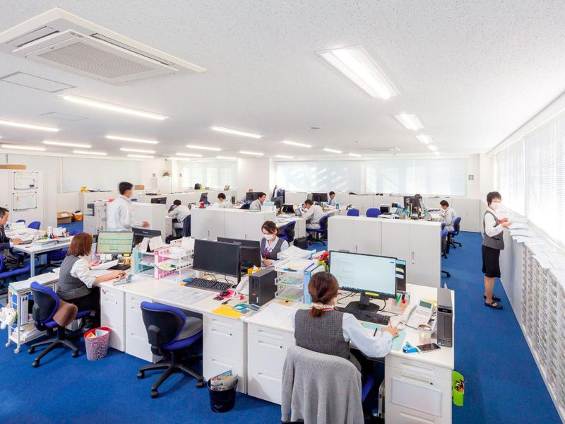 株式会社シンエイライフの求人・転職情報